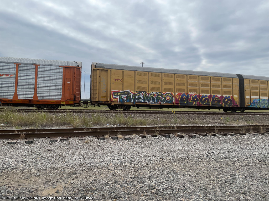 BTTX 880379